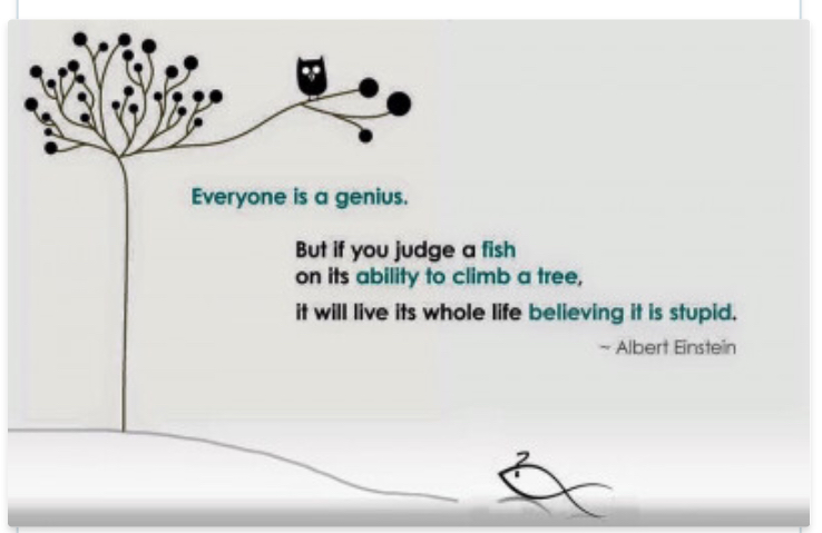 2907DA2E-9F87-4514-B53A-657C2D69F96F.jpeg