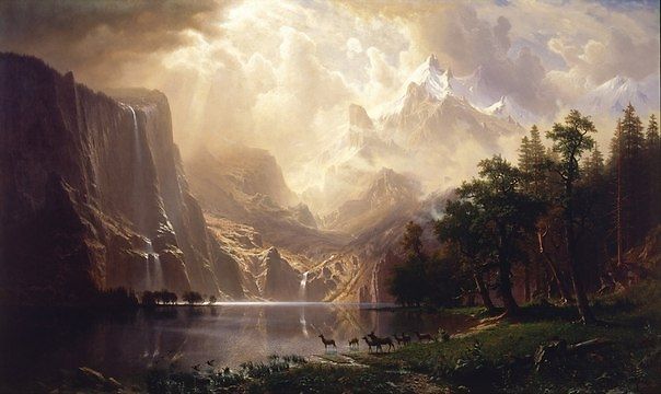 3215231247_477976384_574_574[1].jpg