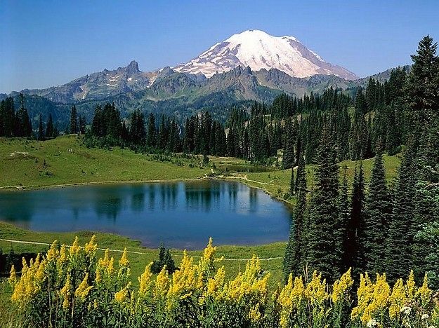 3217533445_810438663_574_574[1].jpg
