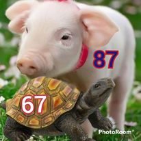 334297020_253783453743109_9011756399660520921_n.jpg