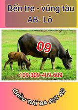 336762108_639974177958631_6606356621582170236_n.jpg