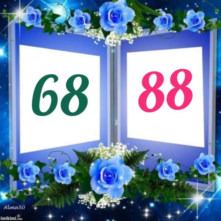 387536526_727587119193590_37900695903332025_n.jpg