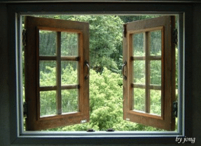 41827742230[1].gif