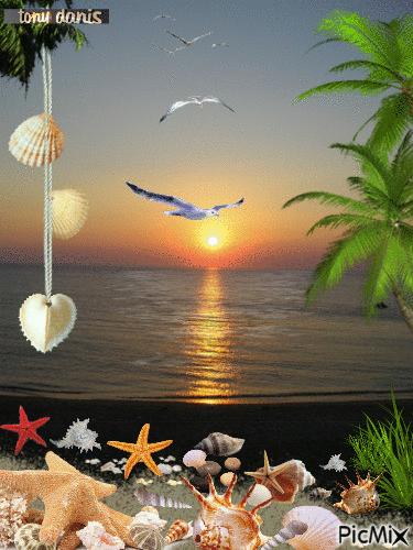 5069653_f089a.gif