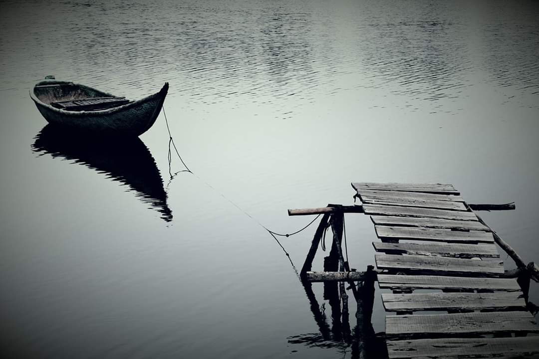 55A51248-0B60-42C4-A696-302A4EBB9F24.jpeg