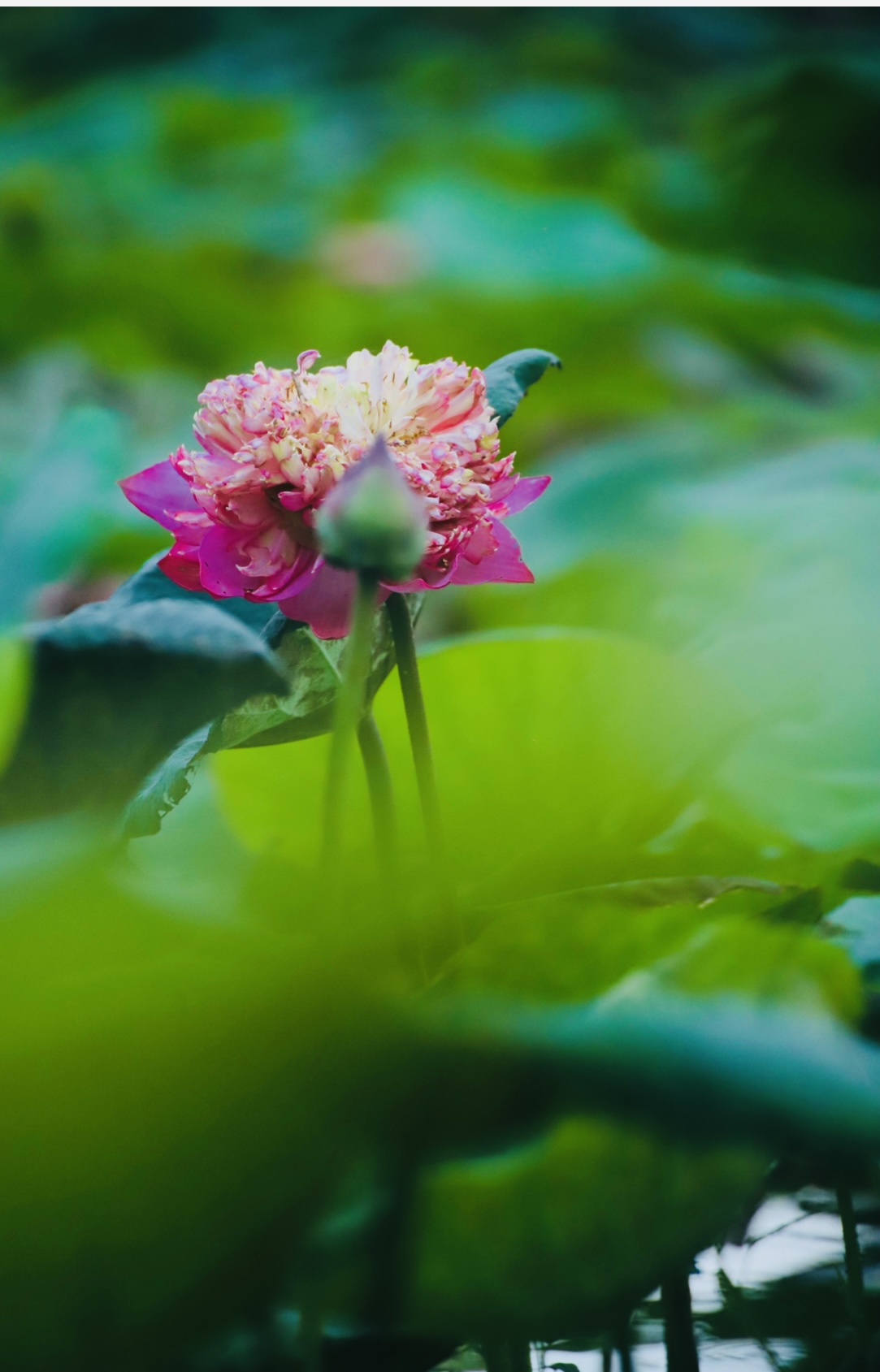 610CF87D-DF8D-4F0E-A347-538260957F6E.jpeg