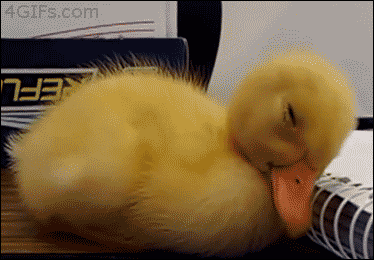 62dc44f69ca56aeac533cce1d76454d6.gif