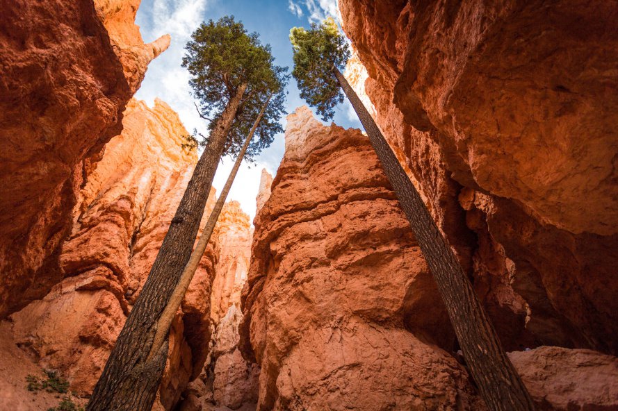 6843007-bryce-canyon-wallpaper.jpg