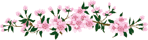 (7).gif