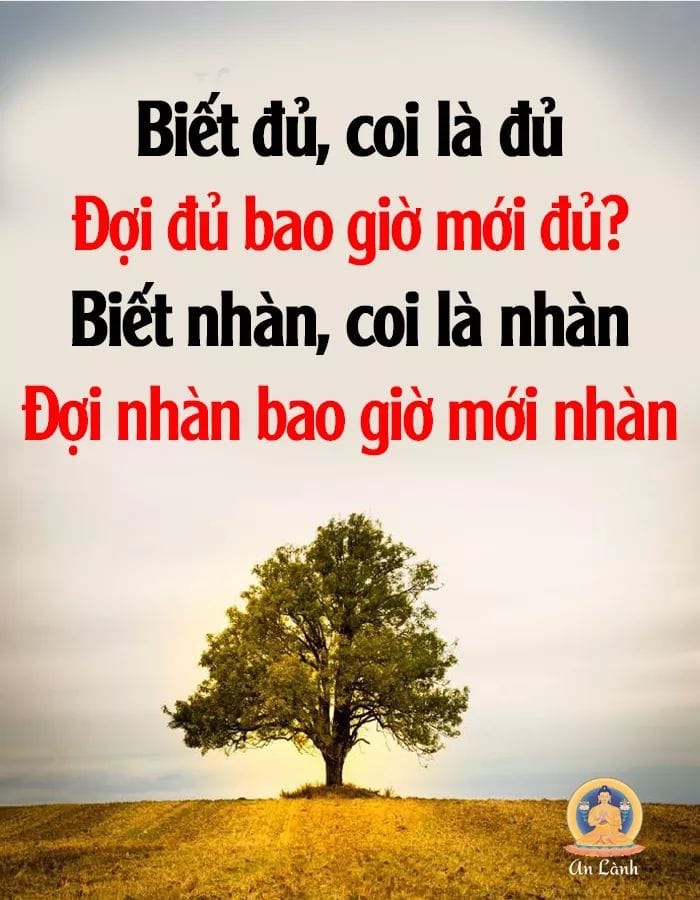 7BB9108E-C56D-4919-A1D6-2F4598E63EB2.jpeg