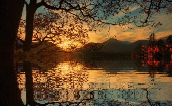 81494093.jpg.gif