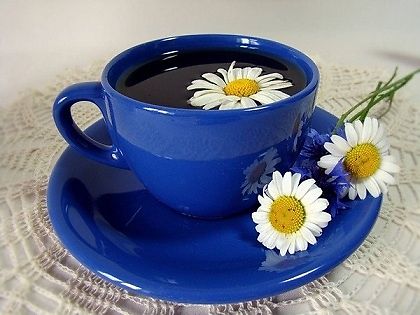 81664065[1].jpg