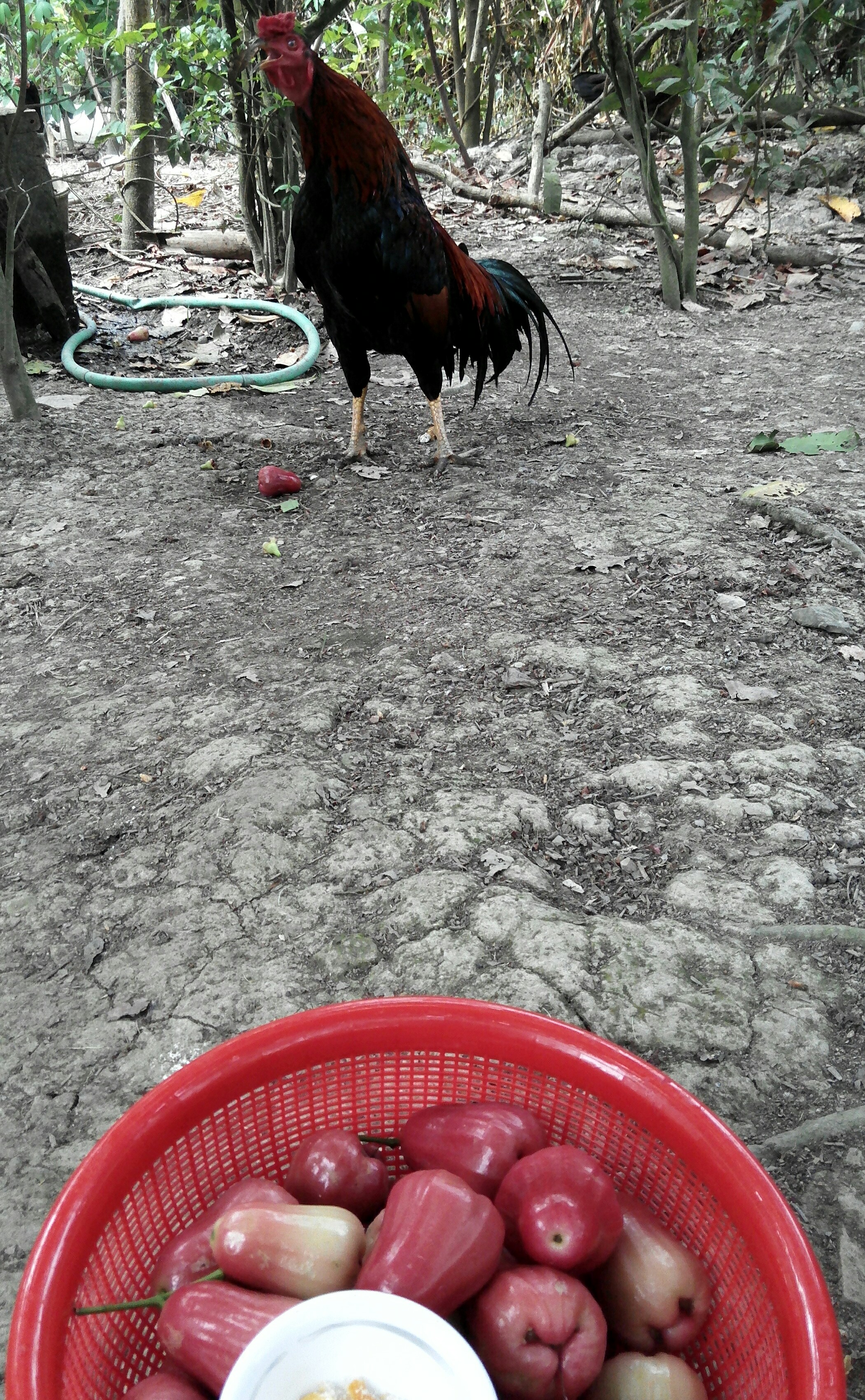 _20170111_143848.JPG