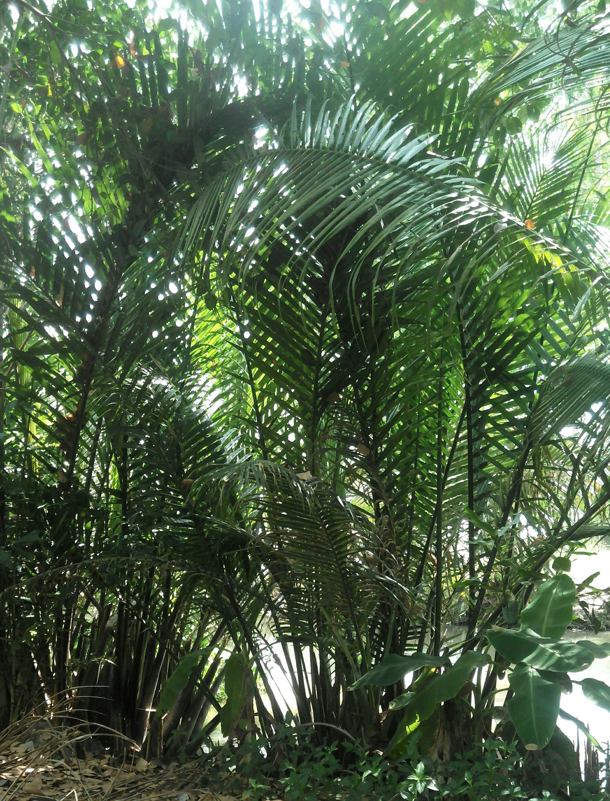 _20190422_134725.JPG