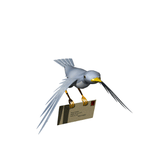 Anh-dong-gif-chim-dep-Ohaylam.com-(24).gif