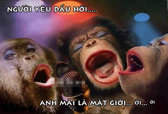 Anh-vui-khi-vuon-duoi-uoi- (26).png