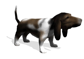 animal__10_.gif