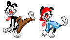 animaniacs_04.gif