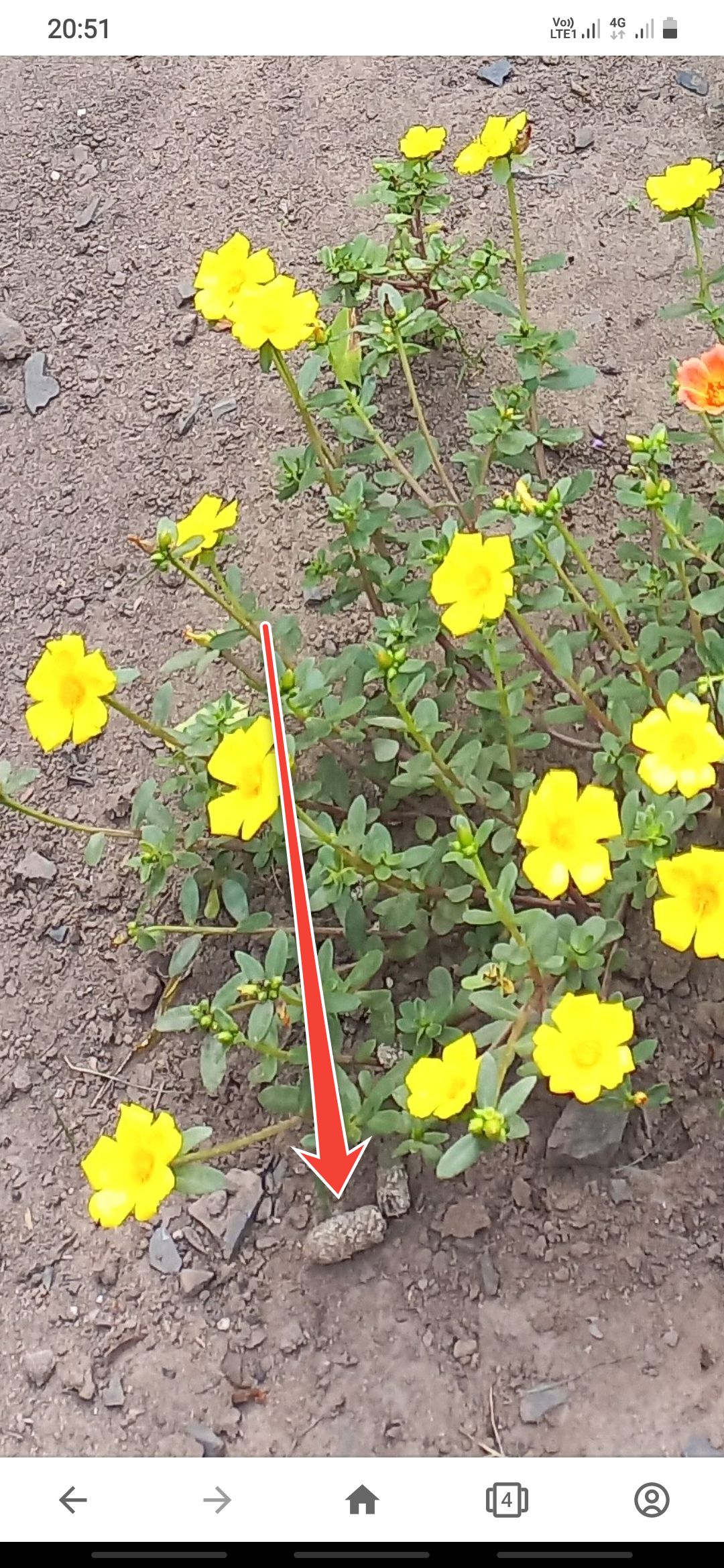 AnnotiumPhotoAnnotation_1673013095.jpg