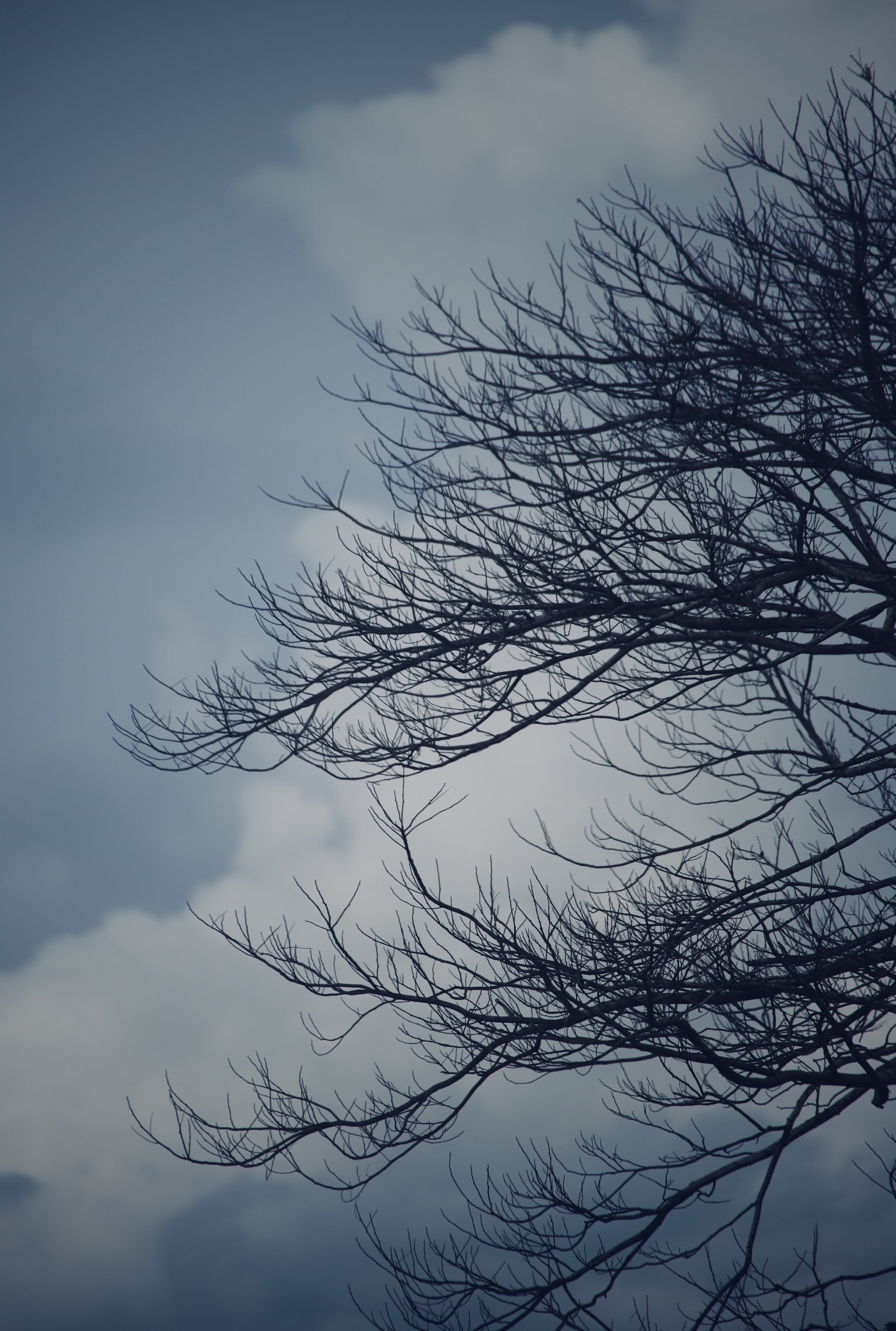 B1E0101D-1CD9-4C0A-A316-146BB42168CE.jpeg