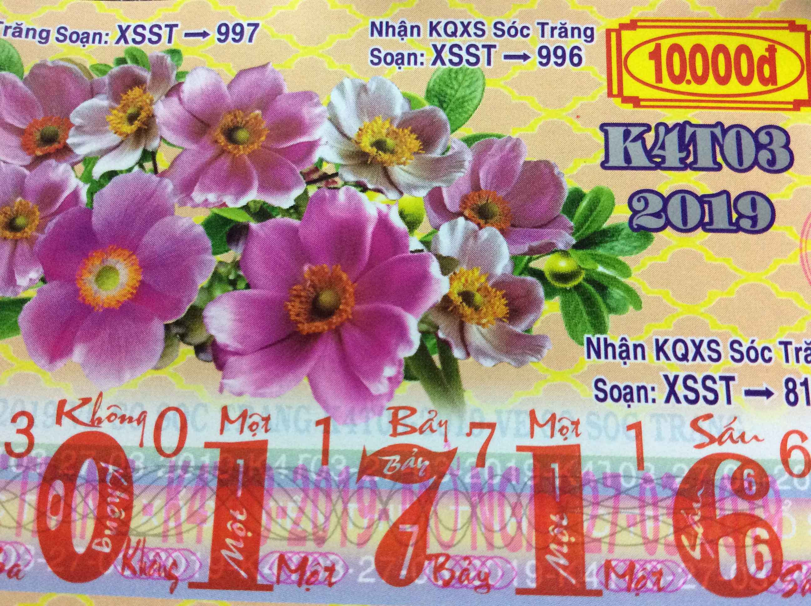 B61B29FB-DCD2-4C41-A263-1860D85E6064.jpeg