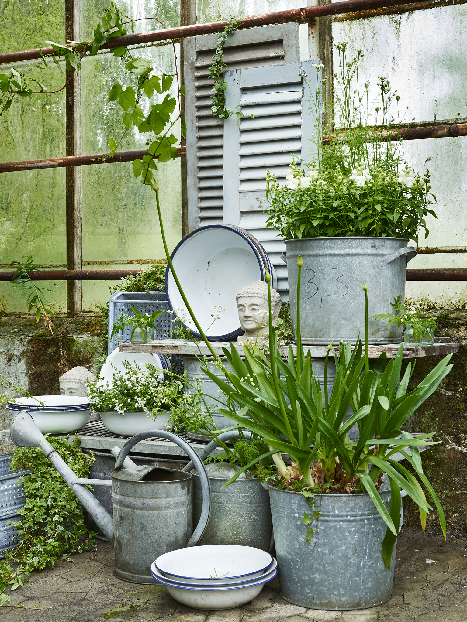 bgreen_20160523_produkt_22960.jpg
