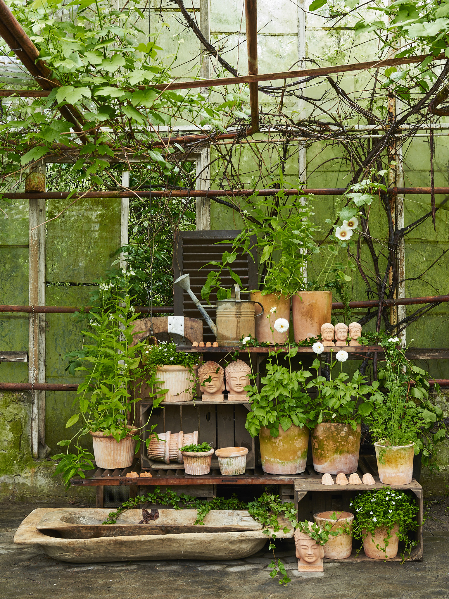 bgreen_20160523_produkt_22977.jpg