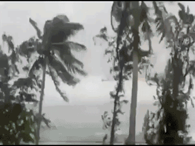 CA570556-9B4B-4AC8-A59B-464358CE2149.gif