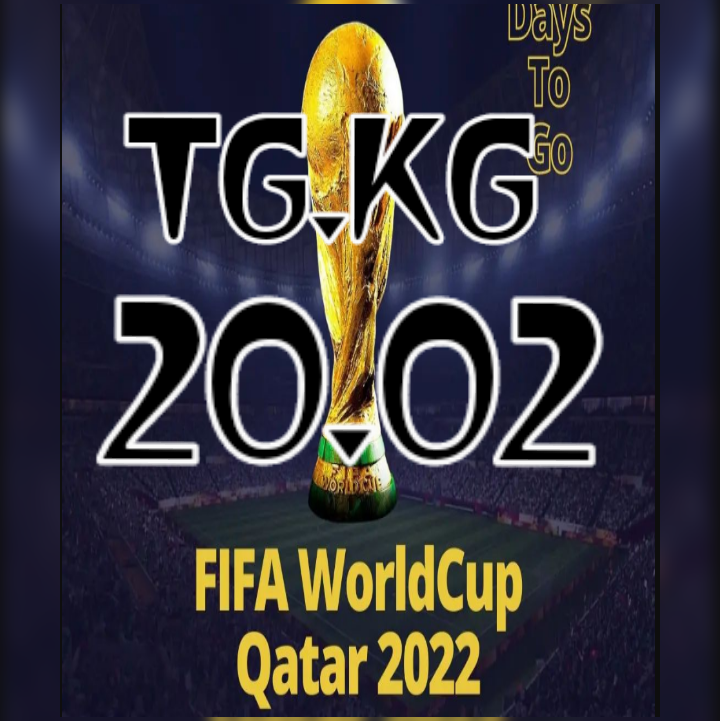 camerafile20221120_111352-1.png
