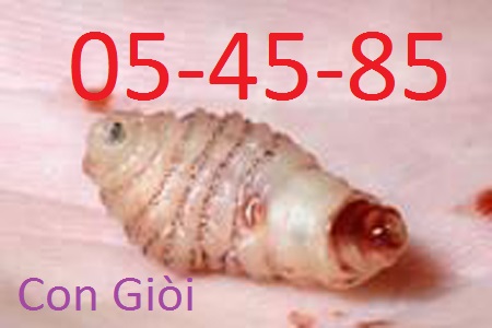 can-canh-gioi-lam-o-an-thit-song-duoi-da-nguoi-.jpg