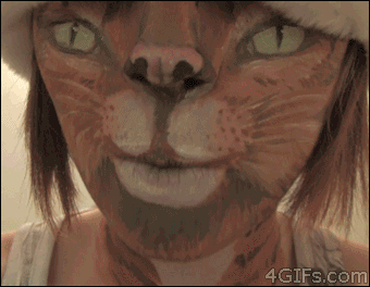 Catsantahat.gif