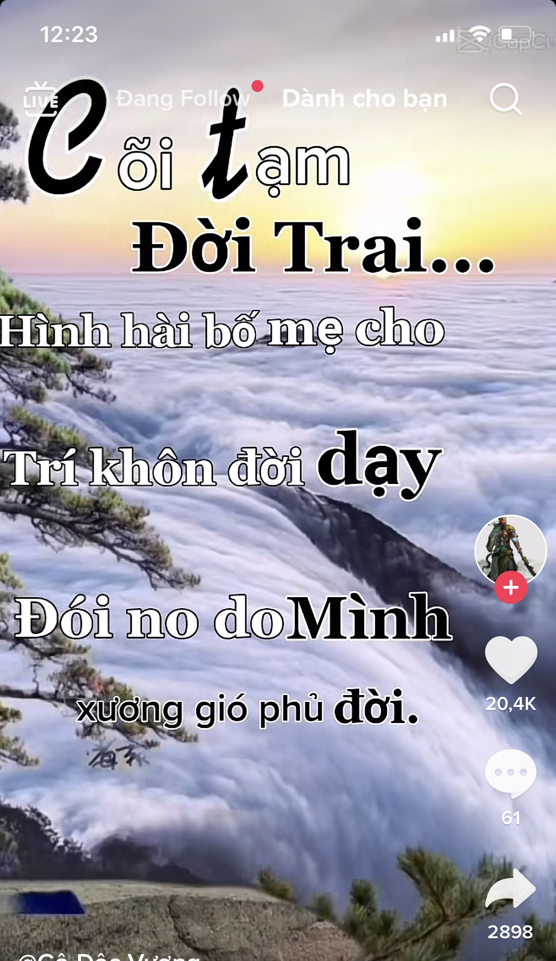 CBB273D8-C69D-4D5A-8F52-6031E6F56FAD.jpeg