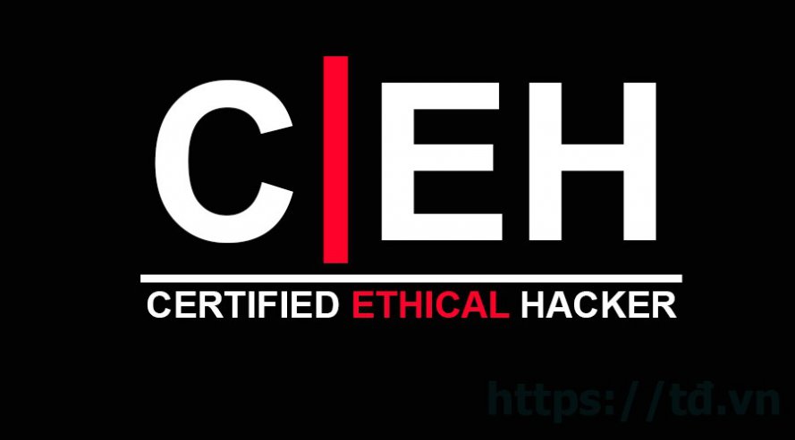 CEH.jpg