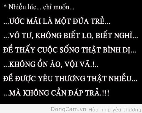 chi-mong-be-lai.jpg