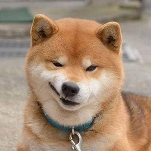 cho.jpg