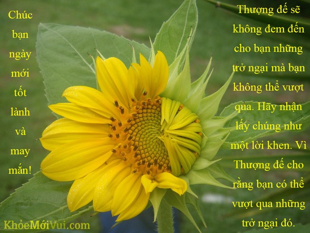 chuc-ban-ngay-moi-tot-lanh-va-may-man.jpg