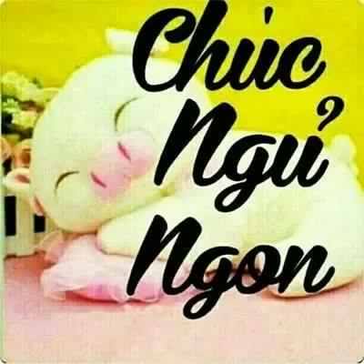 chuc-ngu-ngon.jpg