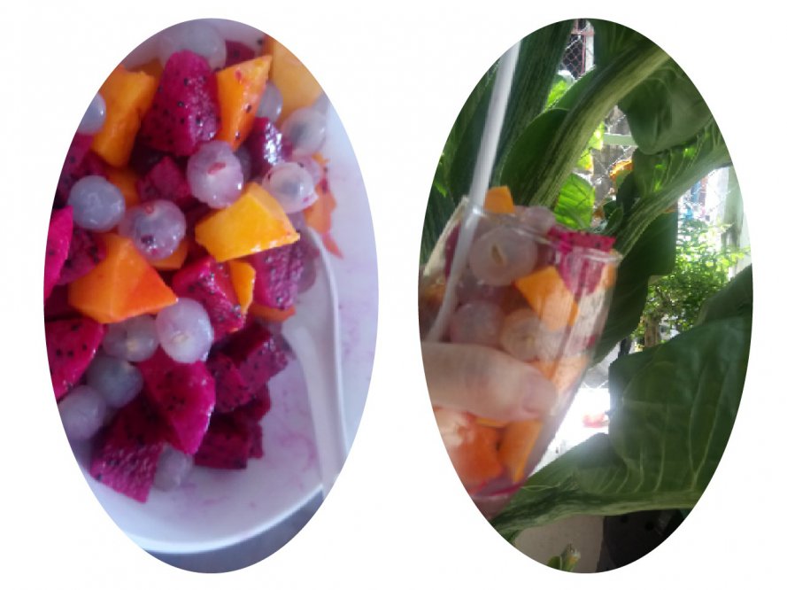 collage-1535424660448.jpg