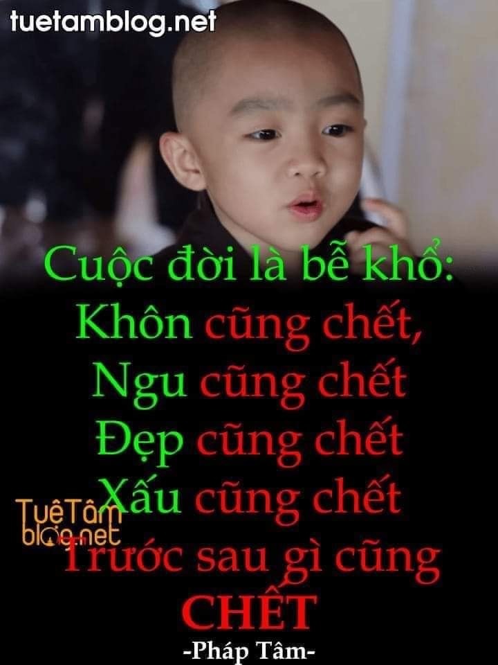 D71A3E51-C616-4049-B328-9D62E3234E4F.jpeg