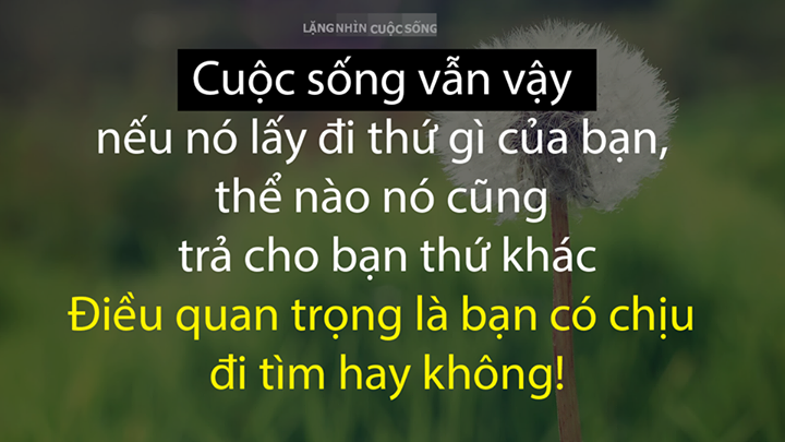 danh-ngon-cuoc-song-3.png