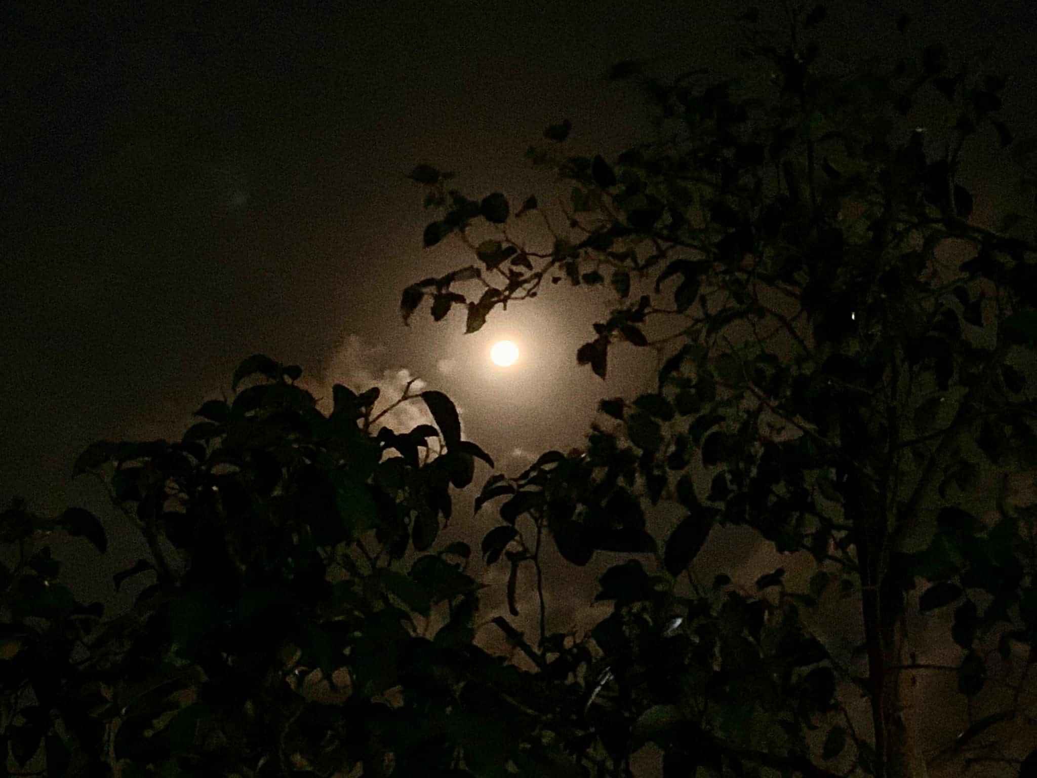 DBA3E73B-2269-44C3-9980-4F3781B10C8F.jpeg