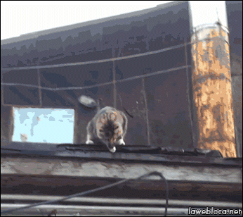 dertaszz (17).gif