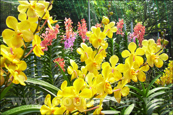 downloadfile-121.jpg