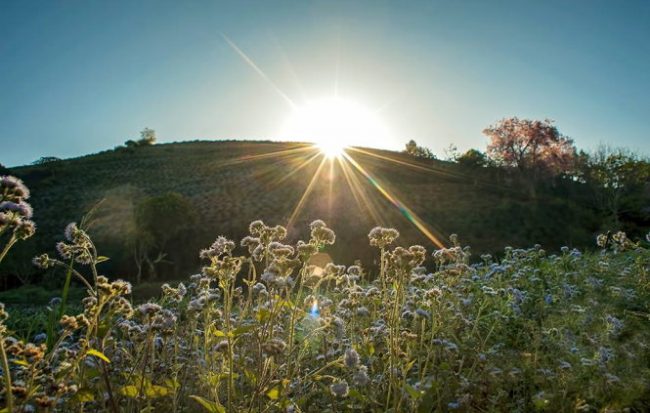 downloadfile-20.jpg
