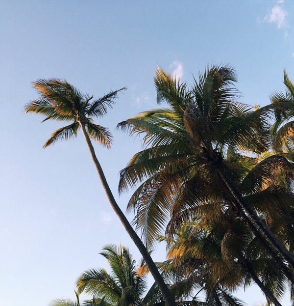 downloadfile-40.jpg