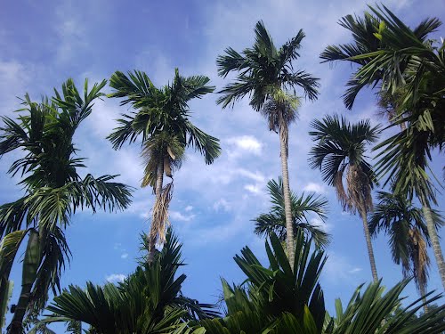 downloadfile-46.jpg