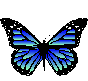 farfalle_glitter_53.gif