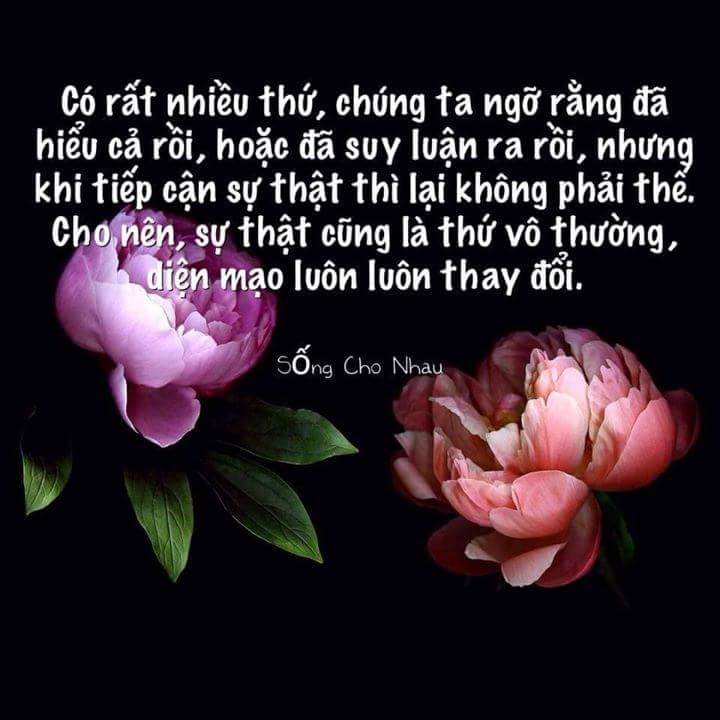 FB_IMG_1488556286301.jpg