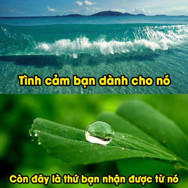 FB_IMG_1495633872030.jpg