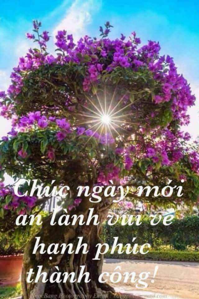 FB_IMG_1497138632667.jpg